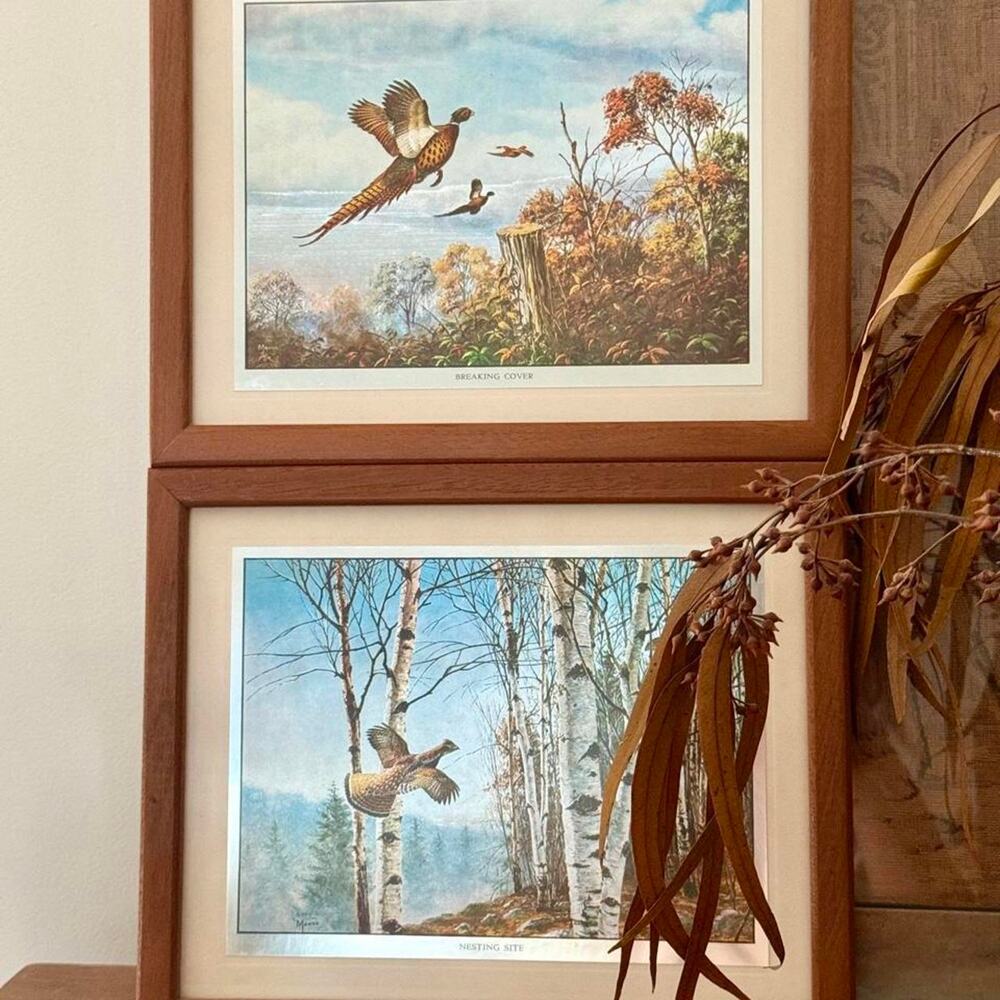 Vintage framed david maass wildlife prints set of 2 (pheasant & Grouse)